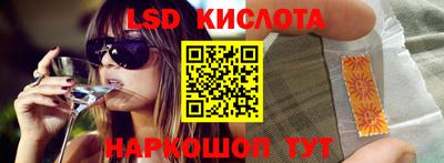 шишки Обь