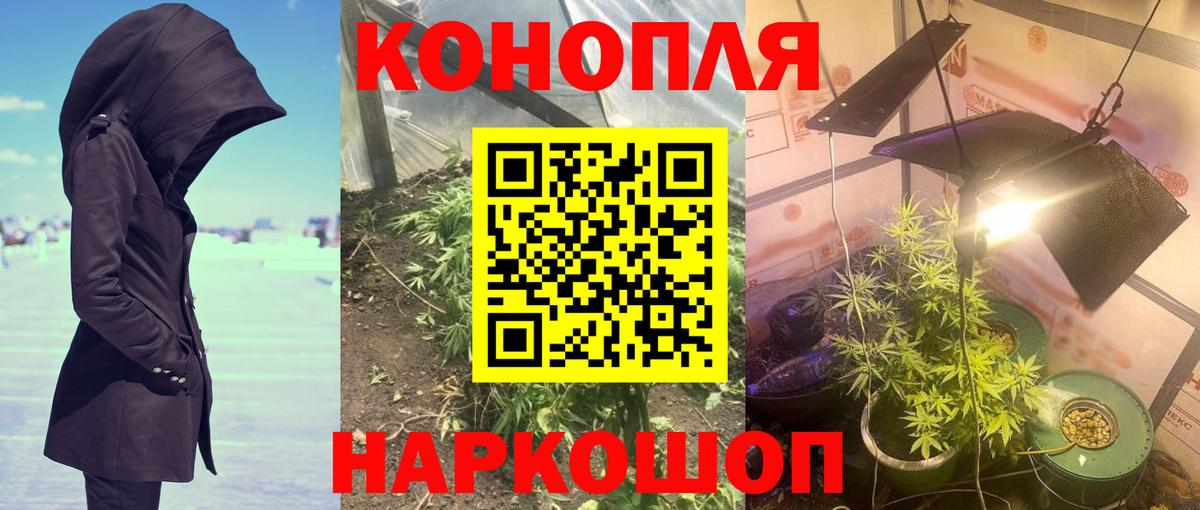 Конопля Bruce Banner Ростов Великий